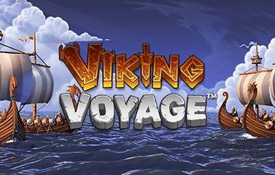 Viking Voyage